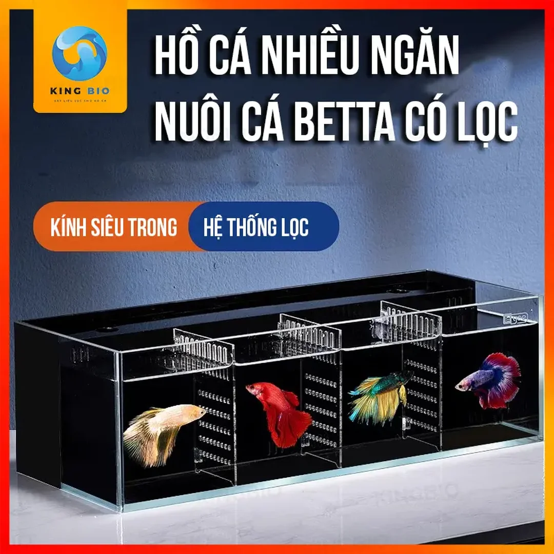 bể cá betta Yee nhỏ gọn có thiết kế hiện đại
