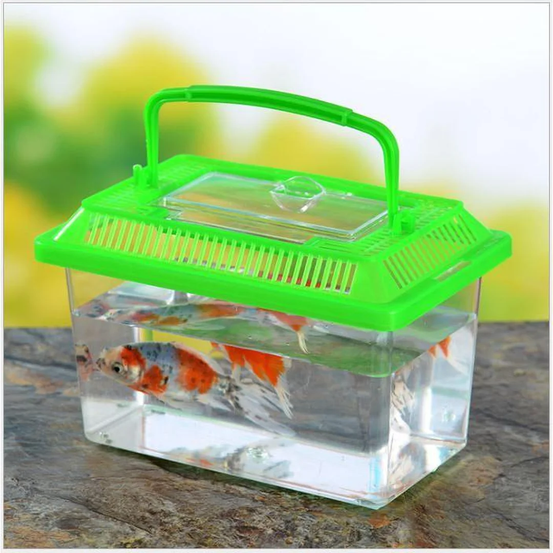 bể cá cảnh mini đặt trên bàn làm việc