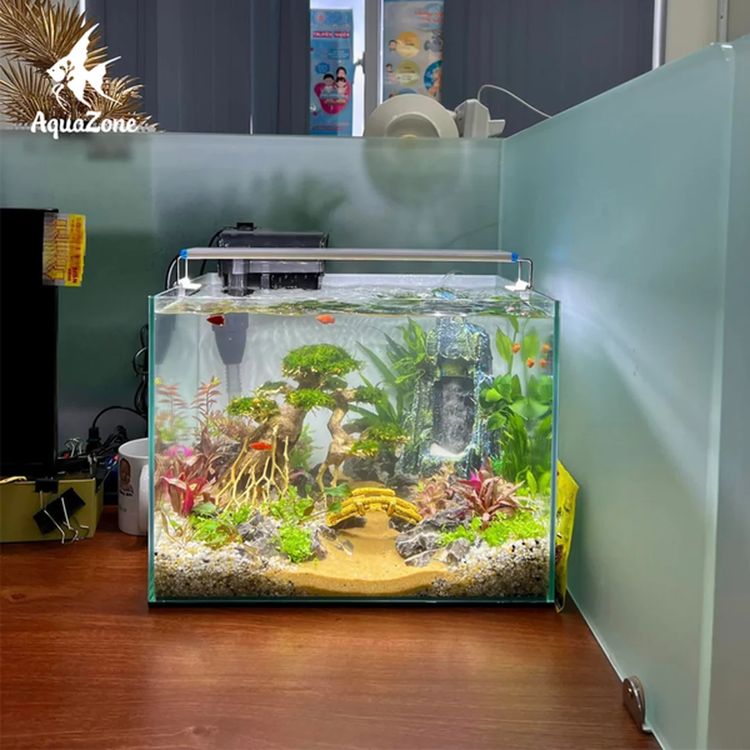 bể cá cảnh mini đẹp để bàn có cây thủy sinh