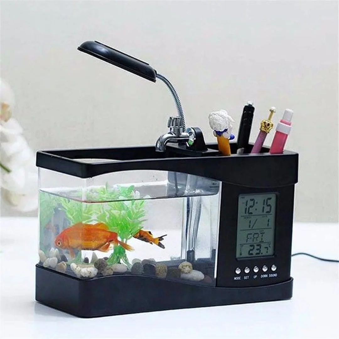 bể cá cảnh mini trang trí trong không gian nhỏ