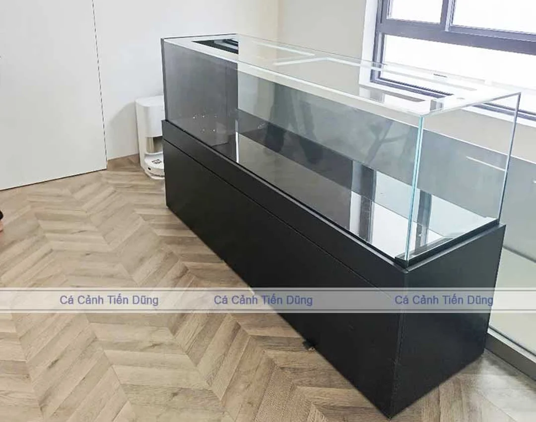 bể cá công nghệ mới kính siêu trong 2m có tủ
