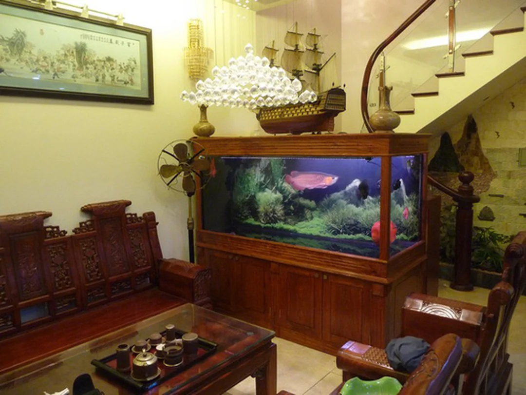bể cá đẹp phòng khách cần tránh đặt sát bàn thờ và khu vực khói bụi