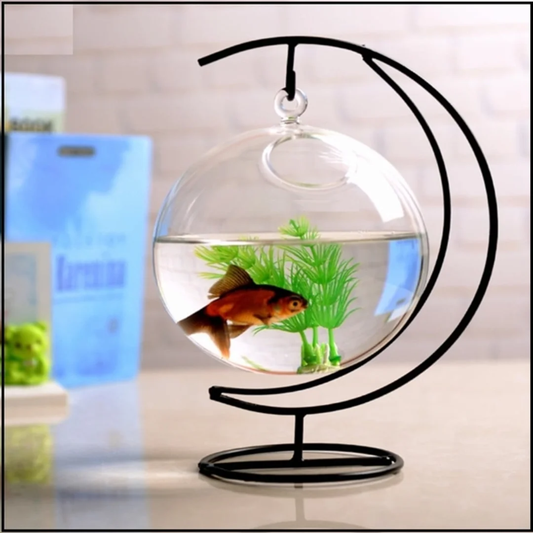 Bể cá mini để bàn dạng treo trang trí bể cá mini để bàn dạng treo trang trí