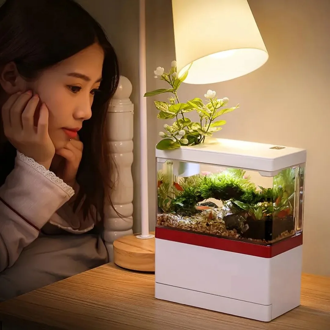 bể cá mini tự làm theo phong cách thủy sinh sáng tạo