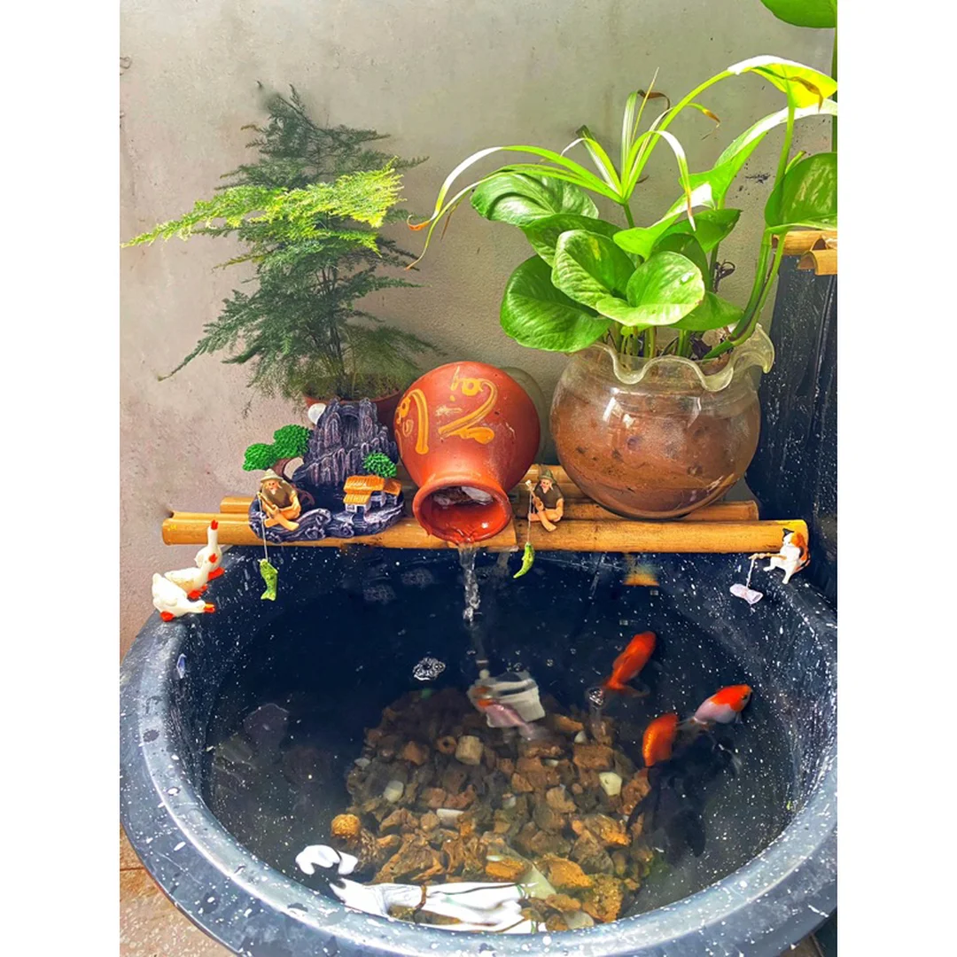 bể cá ngoài trời bị ảnh hưởng bởi nắng và tảo xanh