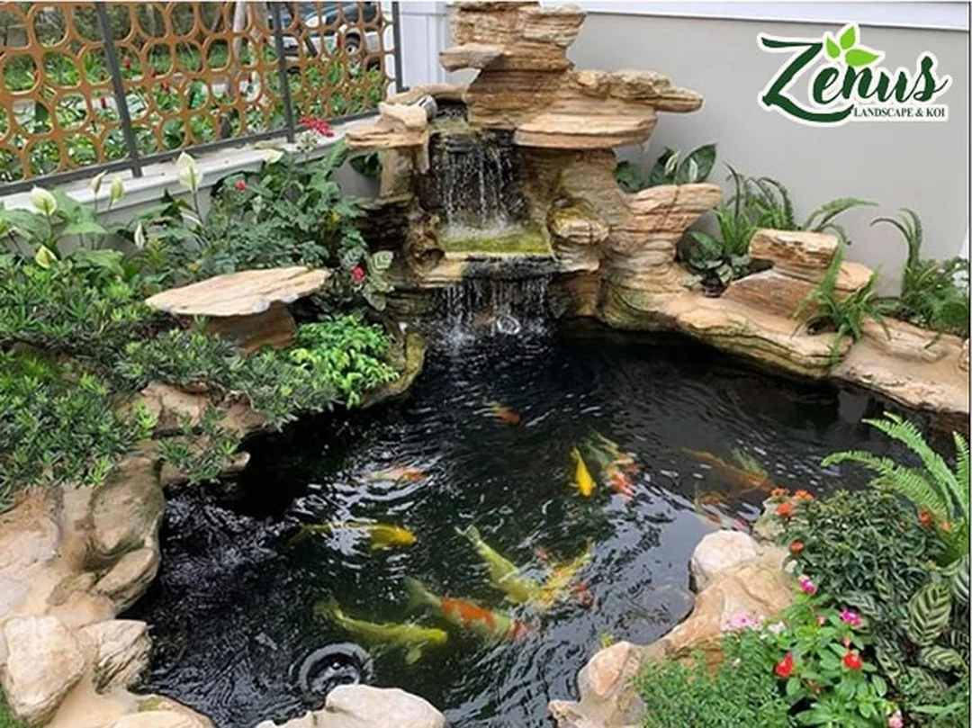 bể cá ngoài trời kết hợp hồ koi và tiểu cảnh đá