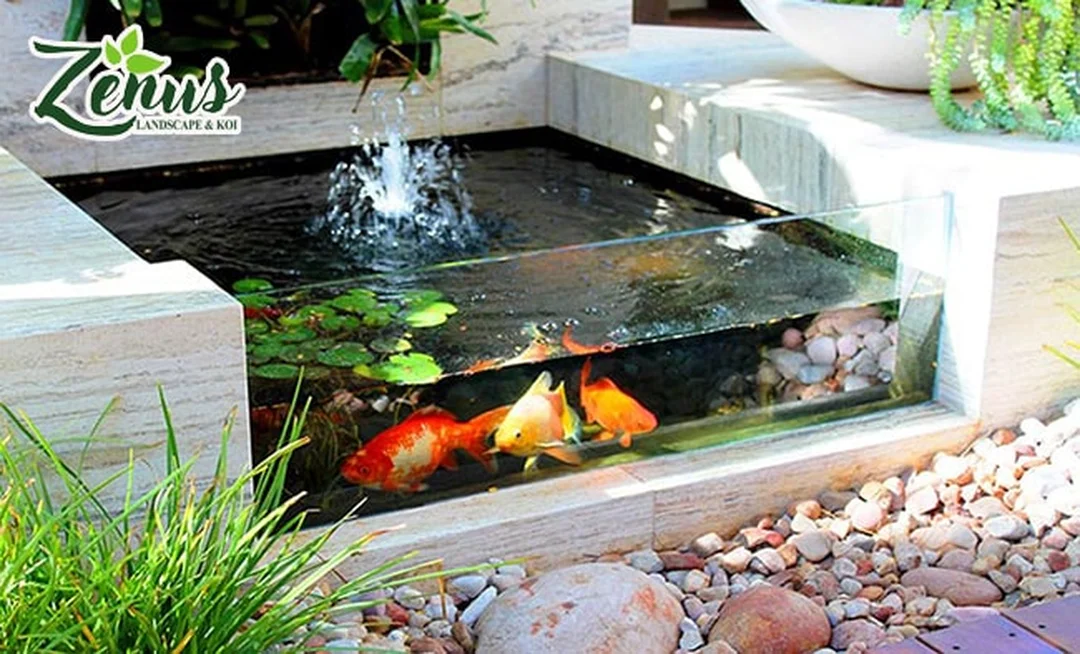 bể cá ngoài trời kết hợp tiểu cảnh và cây xanh