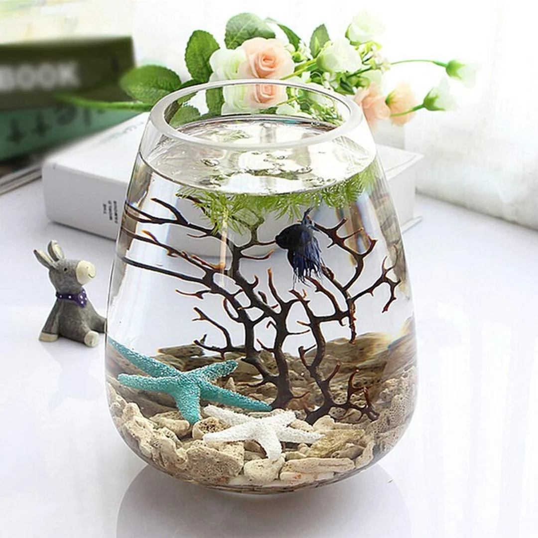 bể cá nhỏ dạng bát thủy tinh có cây và cá cảnh