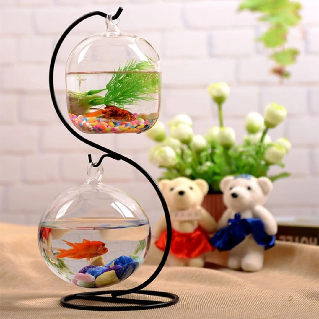 bể cá nhỏ đặt ở góc nhà với ánh sáng trang trí