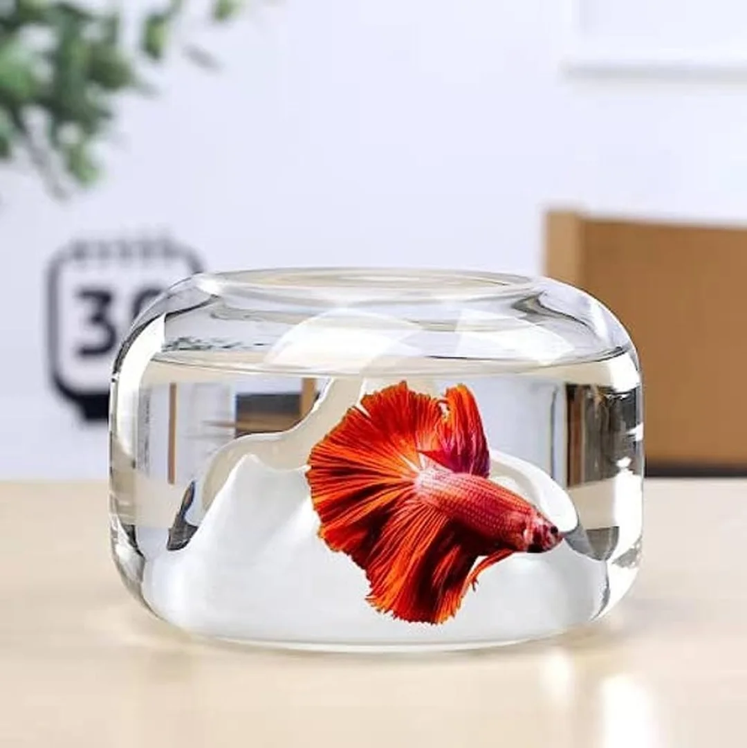bể cá nhỏ trang trí trên bàn làm việc trong nhà