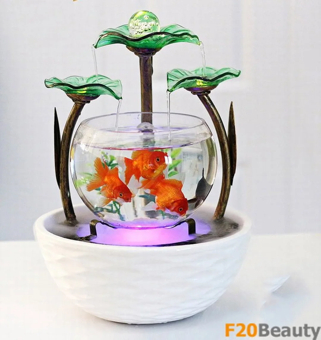 bể cá tròn hình lá sen trang trí bàn làm việc