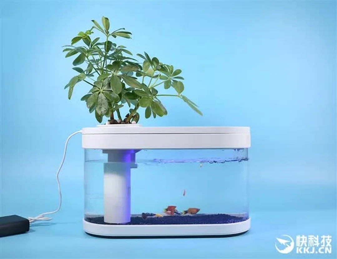bể cá Xiaomi 20L giá bán tại thị trường Việt Nam