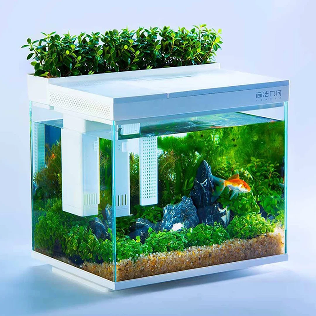 bể cá Xiaomi AI thông minh sau khi setup cây thủy sinh