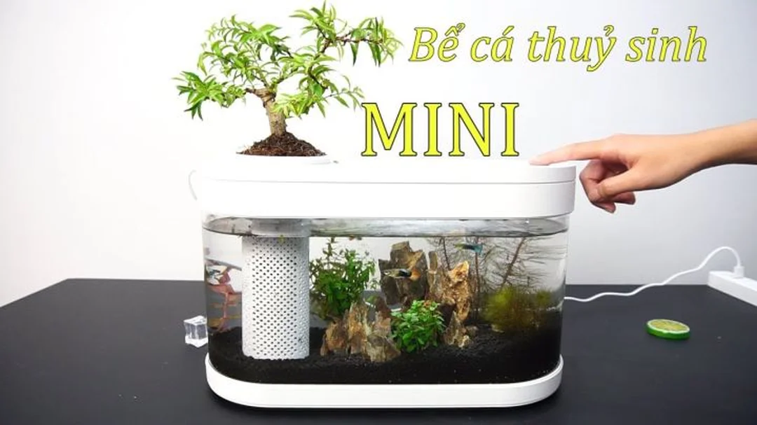 bể cá Xiaomi Mijia MYG100 20L trong bố cục thủy sinh