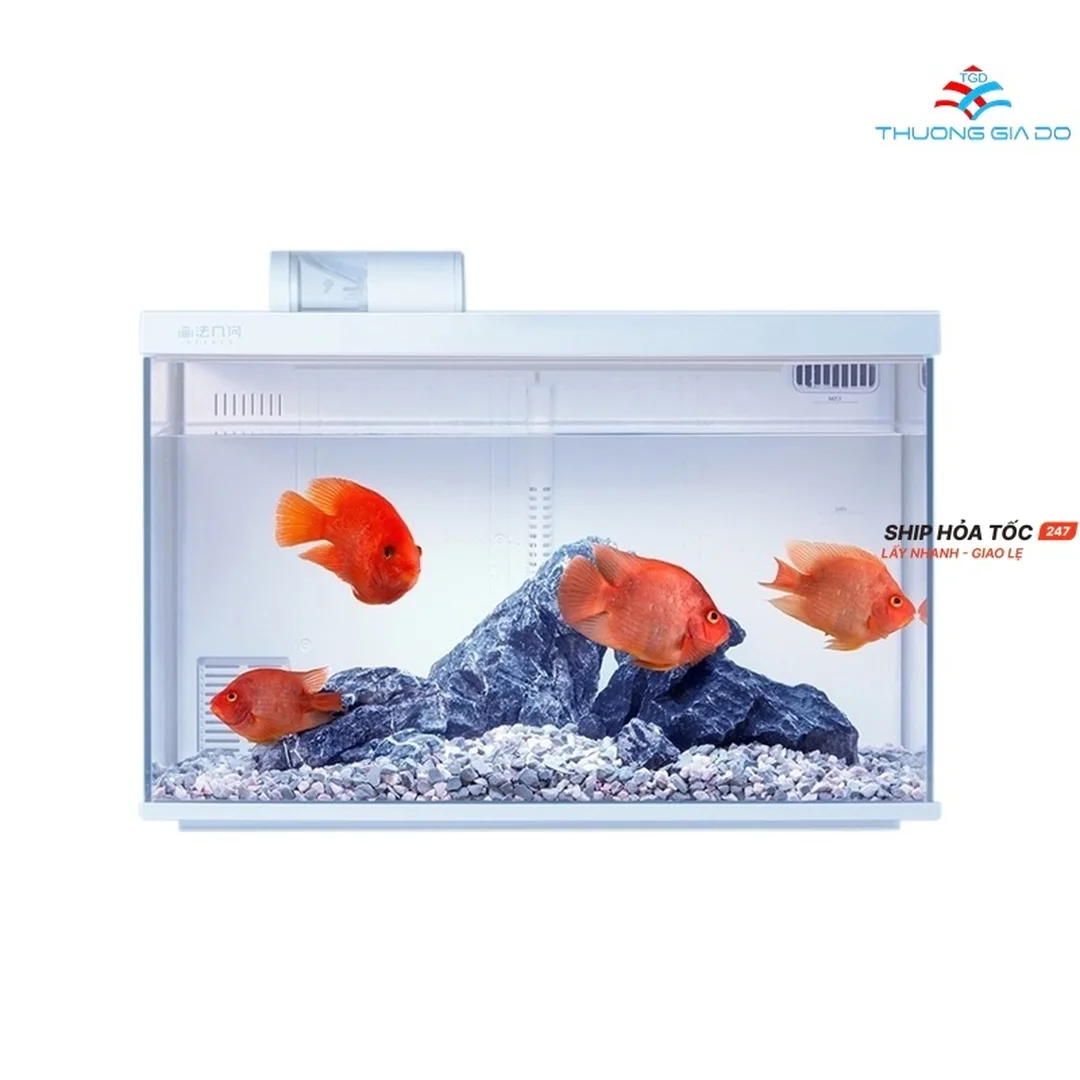 bể cá Xiaomi thông minh so sánh với bể kính tự lắp