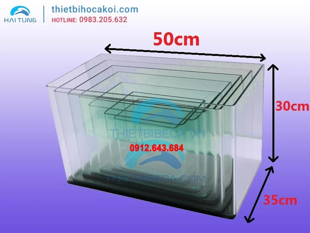 bể kính đúc 40cm đặt bàn cho người mới chơi