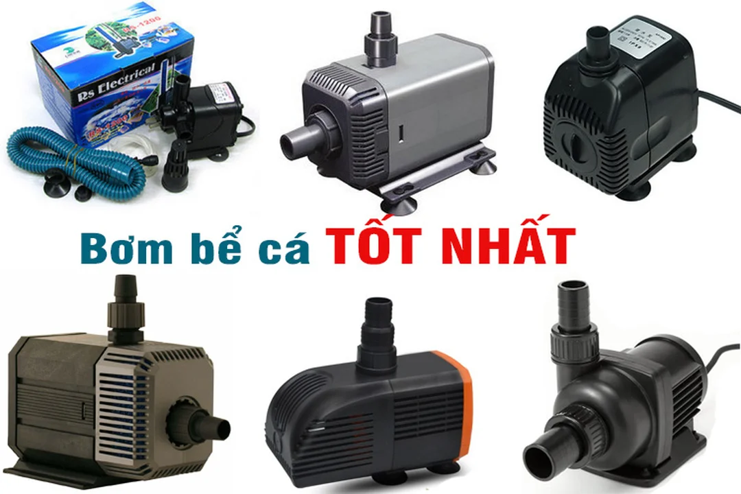 các mẫu bơm bể cá mini phổ biến cho hồ cá cảnh