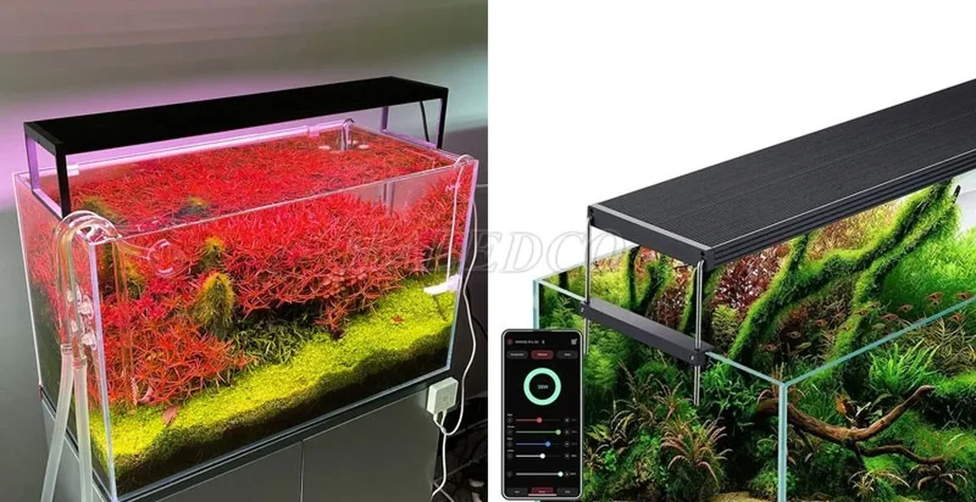 đèn led bể cá Chihiros WRGB 2 Slim 60