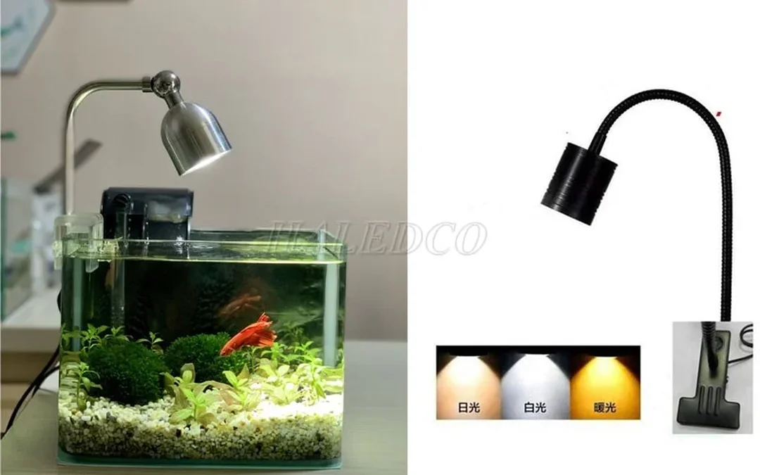 đèn led bể cá rọi cho hồ thủy sinh