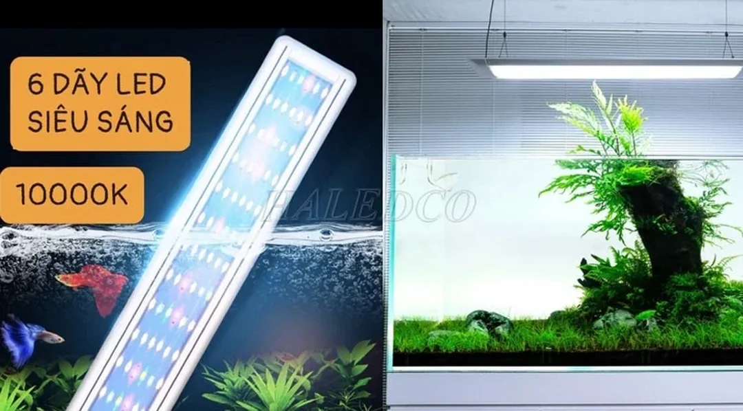 đèn led bể cá thủy sinh ánh sáng trắng 10000K