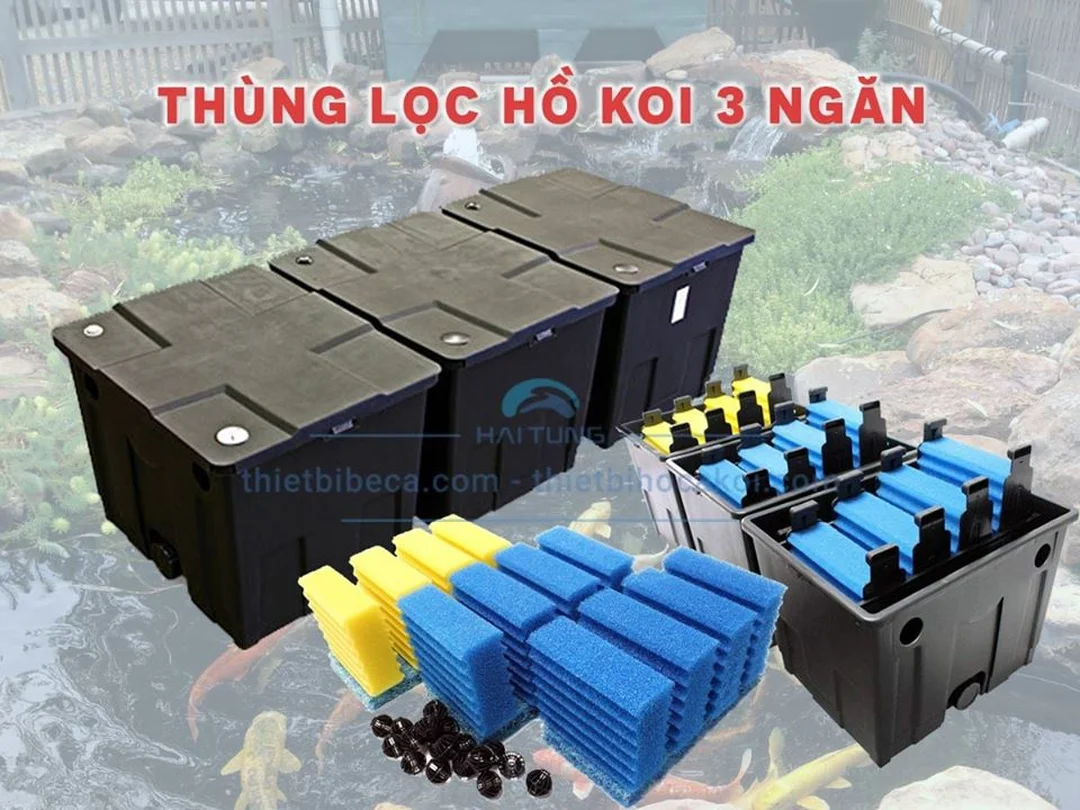hệ lọc thùng bể cá nhiều ngăn cho hồ cá lớn