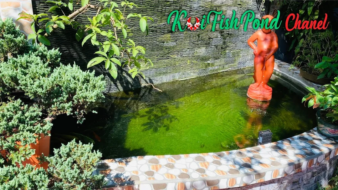 Hướng dẫn làm lọc cho hồ cá koi ngoài trời