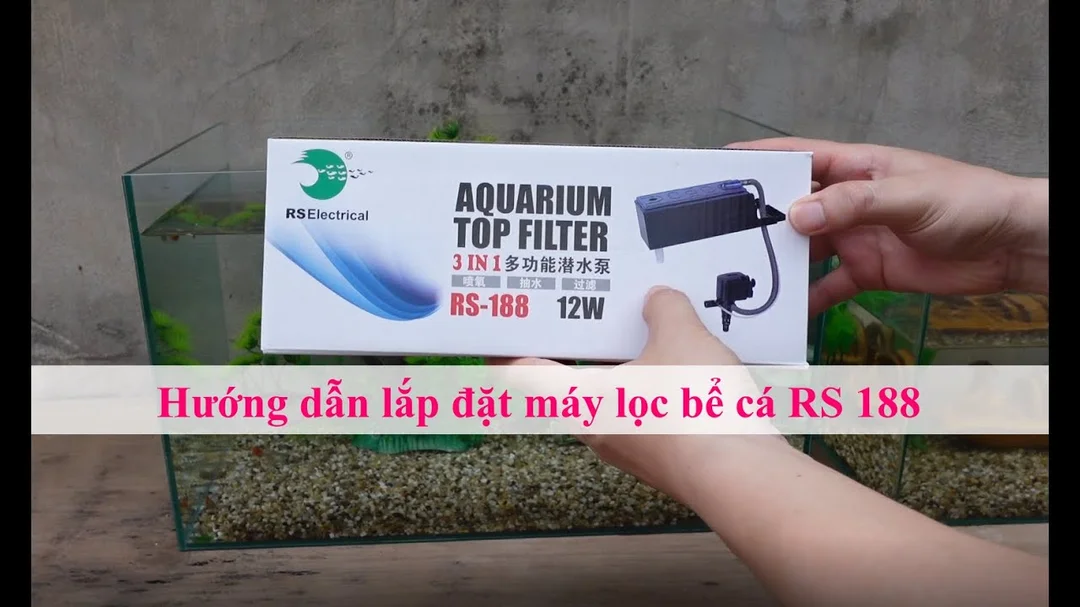Hướng dẫn lắp bộ lọc RS188 cho bể cá mini