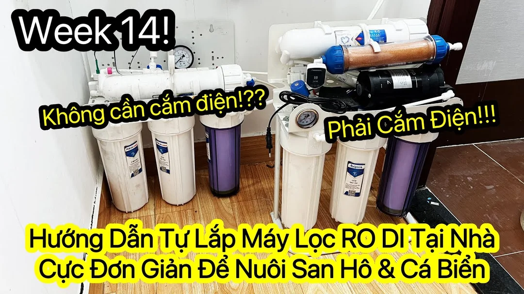 Hướng dẫn lắp đặt hệ thống lọc RO cho bể cá biển