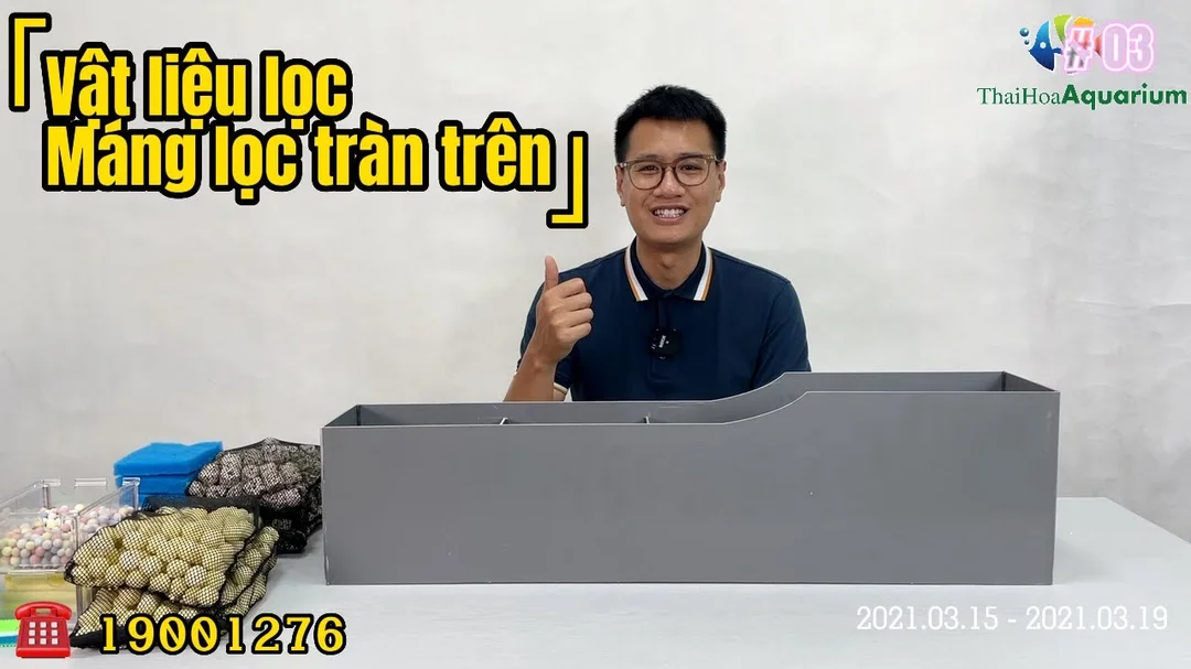 Hướng dẫn sắp xếp vật liệu lọc bể cá