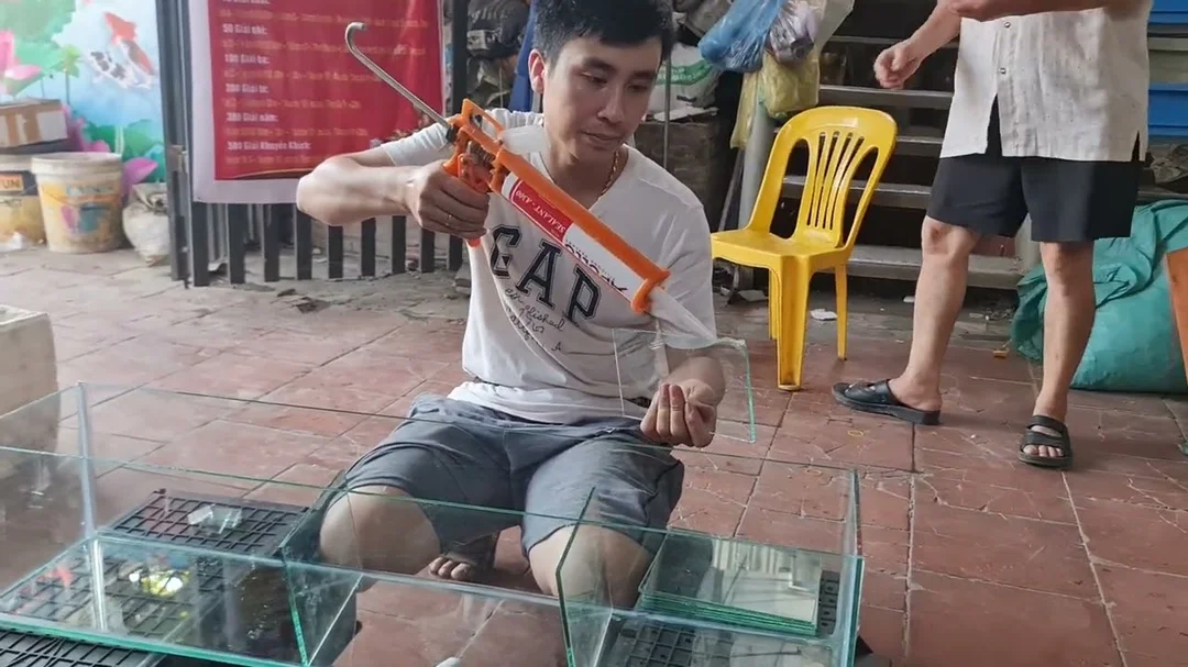 Hướng dẫn setup lọc tràn trên bể cá hiệu quả