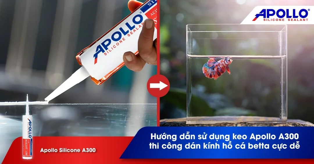 keo dán kính bể cá Apollo A300 dùng thi công hồ cá betta