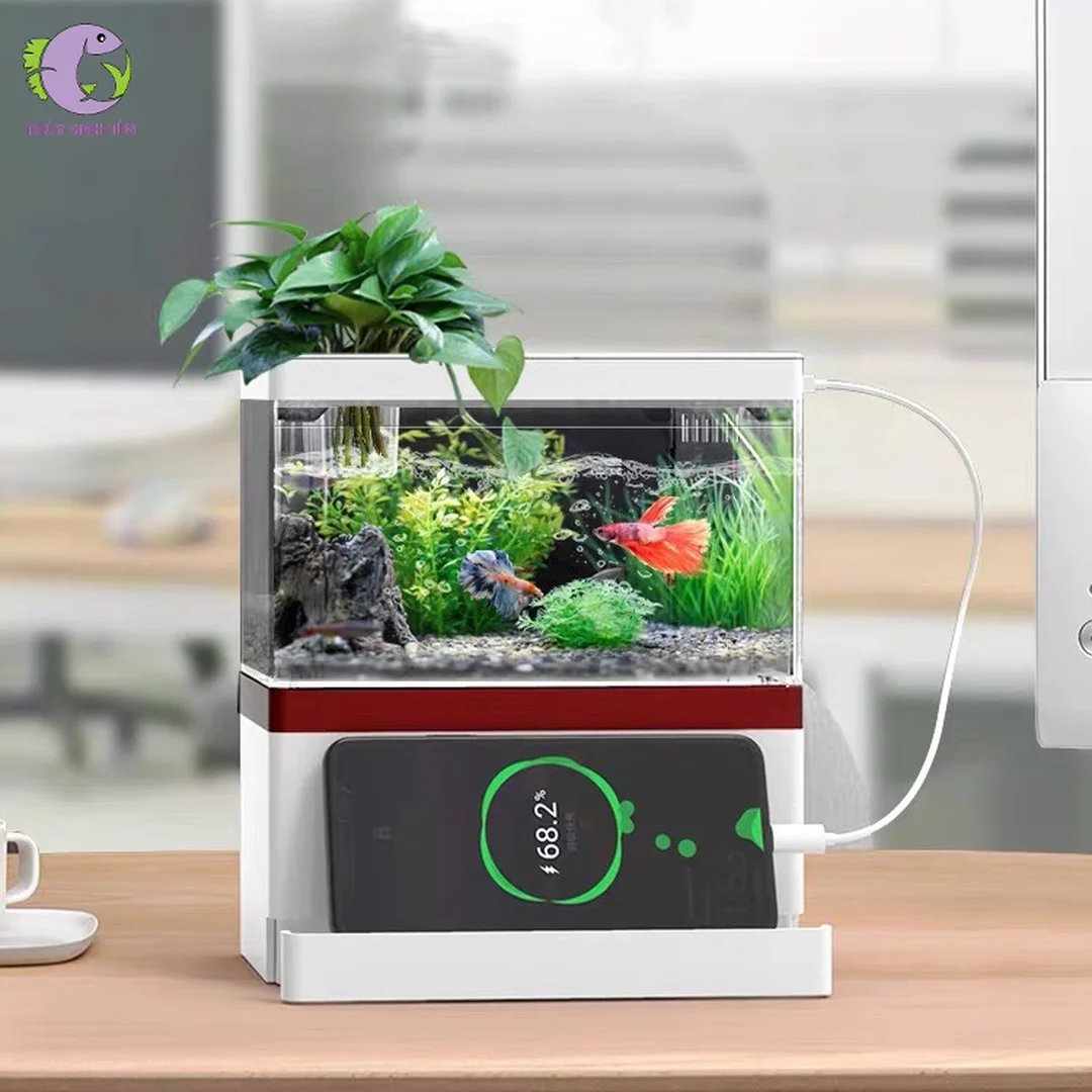 lọc bể cá mini cho bể kính để bàn