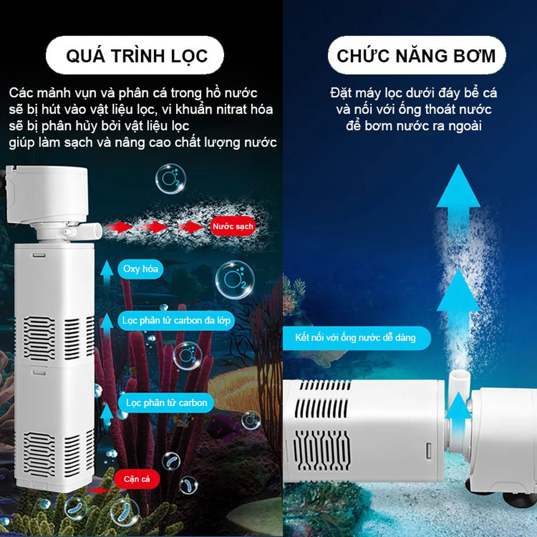 lọc nước bể cá với quá trình lọc nước