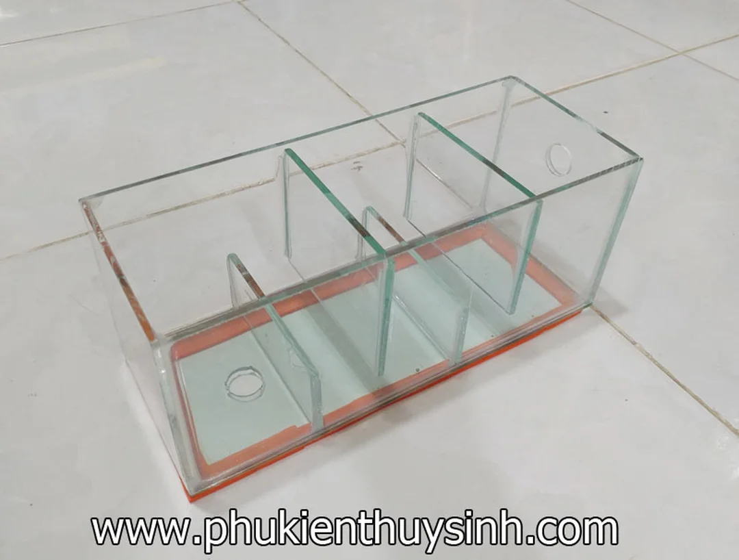 lọc tràn trên bể cá 40 50 60 70cm cho hồ kính
