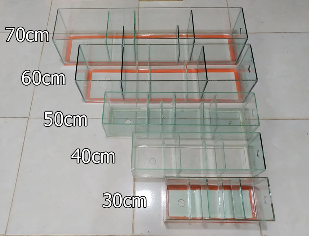 lọc tràn trên bể cá bằng kính tự làm tại nhà