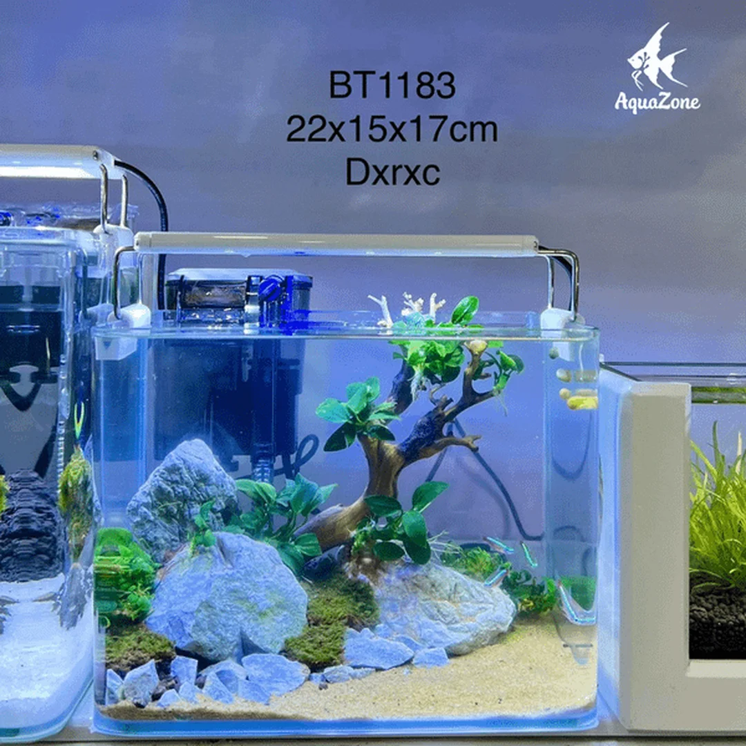 máy lọc nước bể cá và kích thước bể phù hợp