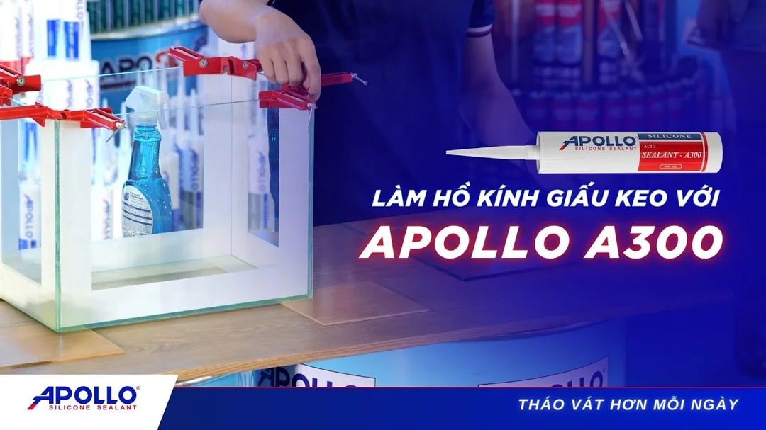 Mẹo dán hồ kính giấu keo thẩm mỹ với Apollo Silicone A300