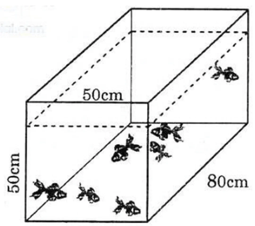 một bể cá dạng hình hộp chữ nhật có chu vi đáy và tỉ lệ cạnh