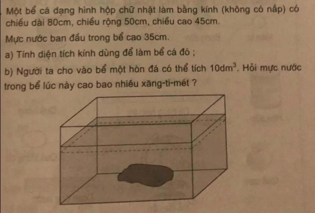 một bể cá dạng hình hộp chữ nhật và lỗi thường gặp khi tính kính