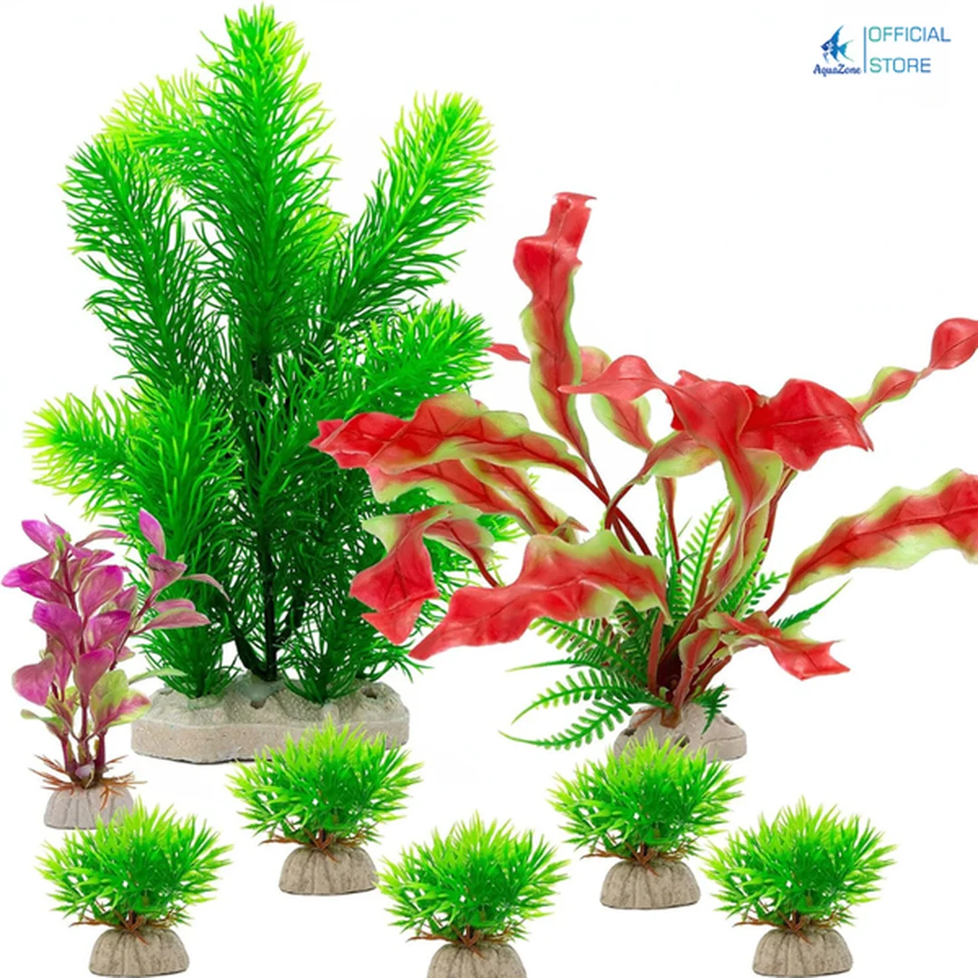 phụ kiện bể cá và dụng cụ thủy sinh cho bể cá cảnh