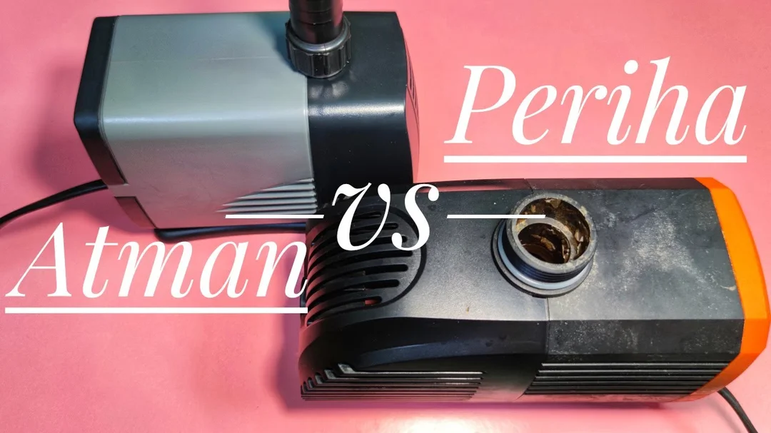 Review bơm Atman và Periha cho bể cá