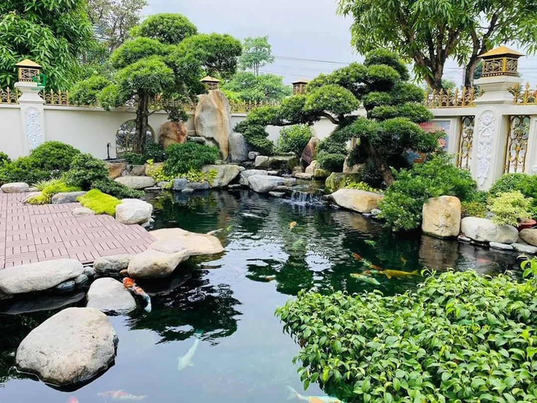 thi công bể cá koi sân vườn với hệ thống lọc và cảnh quan