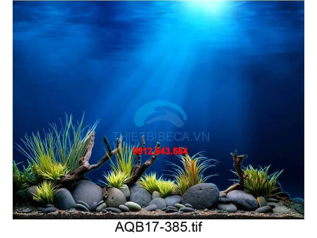 tranh 3d bể cá dạng cuộn cho nhiều kích thước hồ