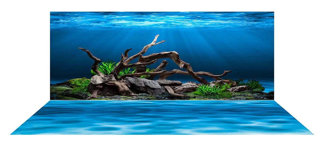 tranh 3d bể cá rồng phối nền đậm