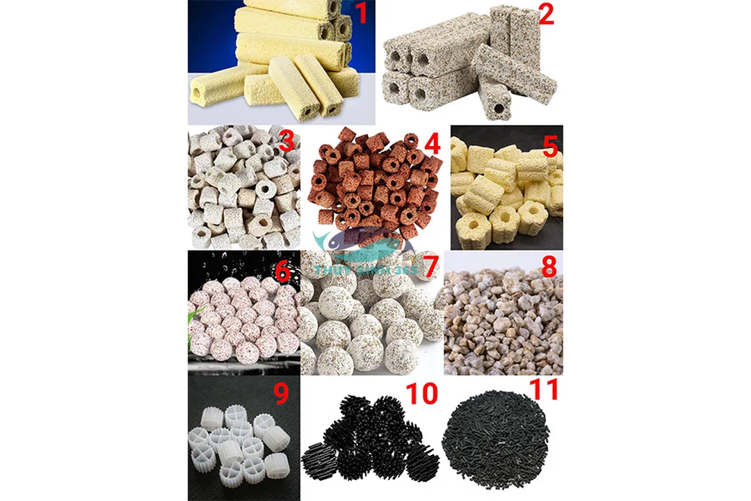vật liệu lọc bể cá gồm sứ lọc và than hoạt tính