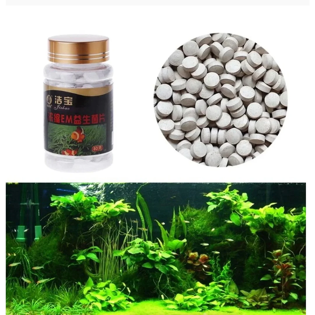 vi sinh bể cá dạng chai cho bể cá cảnh gia đình