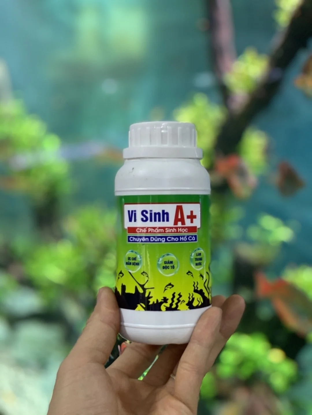 vi sinh bể cá dạng gói bổ sung lợi khuẩn cho nước