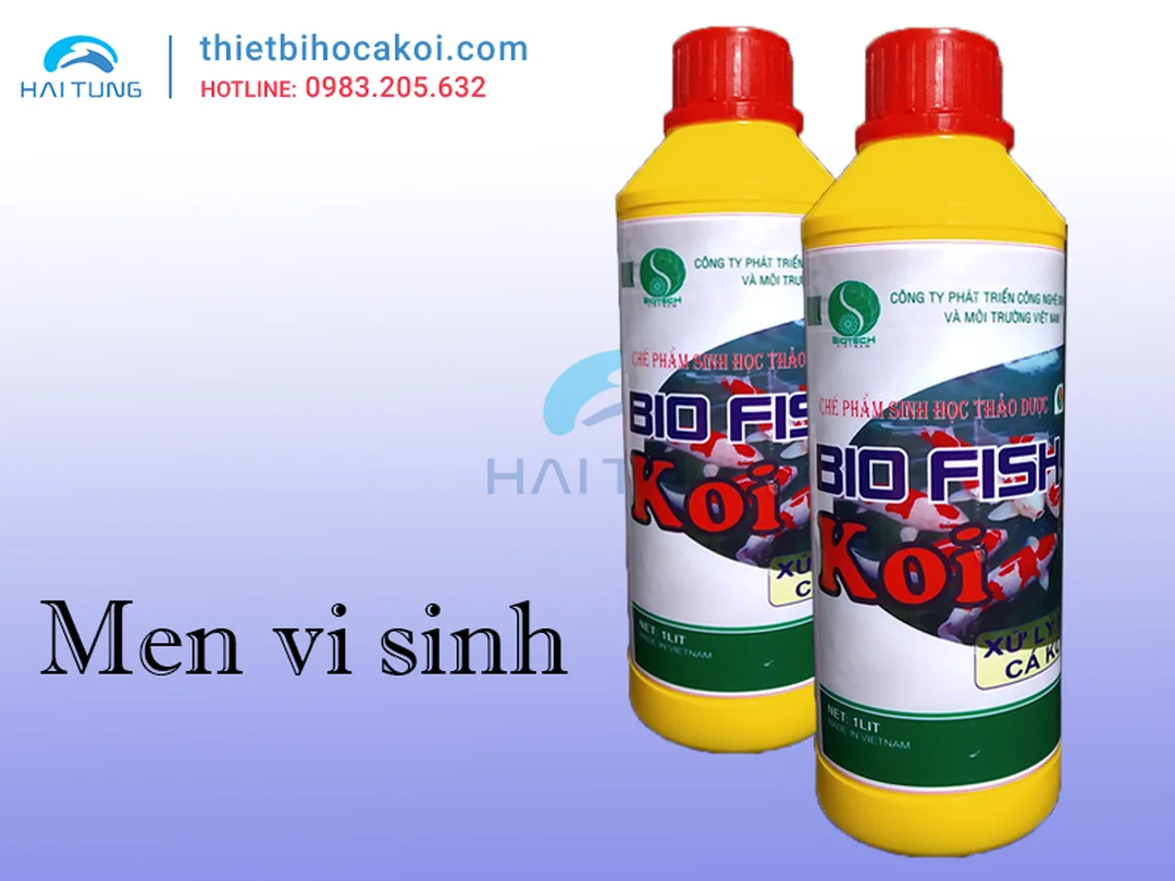 vi sinh bể cá dùng cho hồ koi và hồ cá lớn