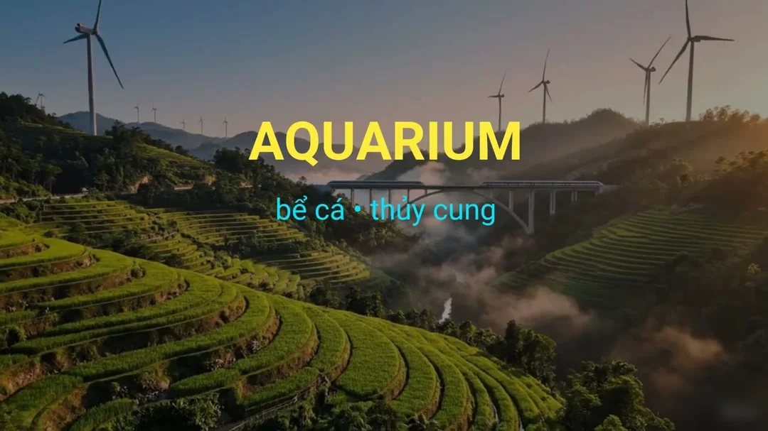 Video giải thích aquarium là gì và cách dùng