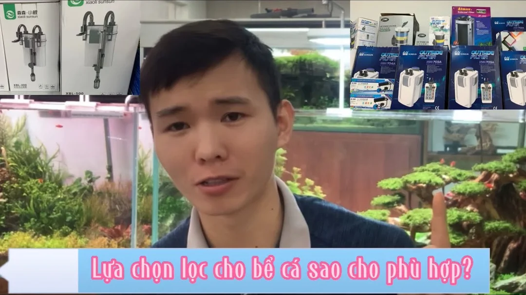Video hướng dẫn chọn lọc cho bể cá
